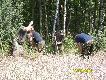 Kolejna ambona 
