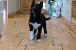 " BETI " chce co� powiedzie�.