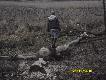 M�j syn sprawdza bobrze dzie�o