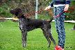  NIKE MAX v.d. Slotbosse - Heide (Archie Keiviento x Floor Luna v.d Slotbose-Heide)