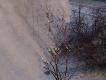 zabawy wrz�tkiem przy -18st.C
gor�ca woda wylana z kubka z pi�tego pi�tra przy -18 stopniach, w efekcie na ziemie spada�y ju� chyba kulki lodu