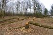 Fotki dla mieszczuch�w