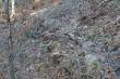 08.03.2015r. Wko�cu i mi szcz�cie dopisa�o, tak sobie le�a� 