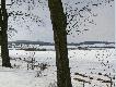 a tu widac ostoje sfotografowanych dzis zwierzat 