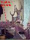 byk !!!!!!!!!
BYk kt�rego zagonili na smier�, zbieracze poro�y (foto nr.1)!!!!!!!
zdjecie od znajomego ze Strazy Le�nej.
Byk juz przygotowany do gotowania. 
Z byka opr�cz �ba wycieli takze szynki.
dla tych co pisz� troche nie na temat w temacie o ZBIERANIU PORO�Y