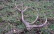 12-03-2016 taki 10-taczek mi si trafi tylko 1.20 kg
