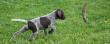 6 tydzie� �ycia st�jki koncertowo