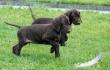 6 tydzie� �ycia 