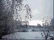moja krina my�liwska zim�

