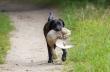 I na podchd i po farbie i po piro :-)