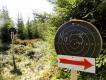 Strzelectwo w Szwecji to nie tylko 'test osia' czy trap nordycki. Bardzo powszechne jest fltskytte = strzelanie polowe, albo w formule biathlonu letniego, albo biegu patrolowego. Jest to konkurencja strzelecka o wojskowym rodowodzie, ale..92% zawodnikw to myliwi, a wikszo pozostaych nie ukoczya 15 lat, i dlatego jeszcze nie s myliwymi. Strzela si biegajc od strzelnicy do strzelnicy, na nieznane odlegoci - trzeba samemu je oceni, ustawi celownik i wzi poprawki na wiatr. Modzicy strzelaj wycznie z kbks na odlegoci 30-140 metrw, a juniorzy i seniorzy rwnie z karabinu na odlegoci 200-700 metrw. Na zdjciu - drogowskazy wskazujce kierunek biegu na kolejne strzelnice.