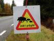 Stay, cho nieobowizkowy element polowa szwedzkich w Szwecji: Ostrzeenie, e mona spodziewa si wtargnicia zwierzyny na szos. Jednoczenie jakby proba o nieprzeszkadzanie: wprawdzie w Szwecji obowizuje 'prawo powszechnego dostpu' do terenw nieogrodzonych, ale zwierzyna jest wasnoci prywatn, i polowanie to wana cz gospodarki lenej dla waciciela teje ziemi. Ale po raz pierwszy zobaczyem na znaku dziki - do tej pory widywaem osie lub psy. C, jeszcze 40 lat temu w Skandynawii w ogle nie byo dzikw, 39 lat temu zbiegy z zagrody przez pot zniszczony przez zwalone wichur drzewo. W 1987 roku uznano przypadkow reintrodukcj za skuteczn, zwierzyn own stay si w 1990, a od dwch lat ich odstrza przewyszy odstrza osi, sigajc 100 tysicy ubitego zwierza..