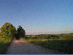 Widoczek z mojego �owiska