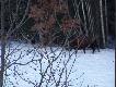 �ubry
