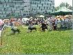 Go�cze w Warszawie c.d.
Wreszcie mi si� uda�o...