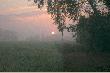 Mia�y by� sarny i kozio�ki....
a sko�czy�o si� na wschodzie s�o�ca, je�li nie liczy� stada szpak�w - tu jako symbolu symbiozy cywilizacji z natur�, i kozio�ka, ale zdj�tego z tak daleka, �e jest on bardziej elementem krajobrazu. Z tym szydlarzem to by�o ciekawie. Siedz� sobie na ambonie, obserwuj� ��czk� i kempy zaro�li, czekaj�c na sarny, w aparat wkr�ci�em luf� daj�c� ekwiwalent 750 mm, w dodatku ca�kiem manualn� (bez AF, wi�c o wyostrzeniu ruchomego obiektu mo�na tylko pomarzy�), a tu z lasku, jakie� 3 metry ode mnie, wy�azi kozio�ek. Przystaje, pozuje dobre 5 sekund, a ja mam w wizjerze do wyboru albo jego nos, albo poro�e. Ca�y �eb mi si� za chi�skiego boga nie mie�ci w kadrze. Czekam w bezruchu a� bestia zrobi kilka krok�w na ��czk�, ciesz� si� w duchu, �e b�d� mia� extra fotki (jestem na ambonie, wi�c mnie na pewno nie widzi, czu� te� nie powinien, zw�aszcza �e mam go pod wiatr, prawie nie oddycham), a ten jak Woronin za najlepszych czas�w ni st�d ni z ow�d jak nie wystartuje... tak zatrzyma si� jakie� 300 m dalej. No i zamiast w dziale zwierzyna, l�duje (za kar�, hi,hi) w krajobrazach, jako element tematu "��ka".
A jeszcze jedno. Co s�dzicie o kolorystyce tego mglistego wschodu s�o�ca? Te "r�owe" s� bli�sze rzeczywisto�ci (automatyczny balans bieli),  a te "pomara�czowe" po przestawieniu balansu na �wiat�o dzienne. Sam nie wiem, kt�re �adniejsze, chocia� wol� zdj�cia bli�sze realizmowi. A co Wy na to?