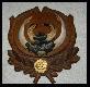 Z�otomedalowy or�
Z�otomedalowy ore� dzika, pozyskanego przez mojego wujka.Obw�d nr 50 nadlesnictwo M�ynary .Or�z wyceniono na 122,4 pkt CIC.DB
