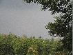 cd.Nasta i Makama
to ju� drugi dzie�................czyli 06-08-2006 niedziela,
deszcz od rana narazie pada,
