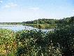 M�j obw�d 448
Trzcieliny

Nasze stawy na kt�rych polujemy na kaczki i g�si. W przesz�o�ci by�o tutaj du�o pi�mak�w. Na  pierwszych kaczkach strzelamy przewa�nie 130-150 kaczek. P�niej r�nie bywa. Wa�ne, �e mo�na �mia�o polowa� i prawie zawsze te 2-3 kaczki bez wiekszego problemu pozyska�:)