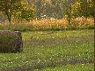 co tam ciekawego w �owisku
