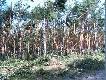 Taki ma�e „dmuchni�cie” w �rodku lata.