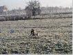 JURTA Wy�e�.PL
