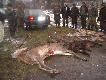 Pokot. Biaczyn 27.11.2004