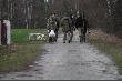 Spotkanie u Grega
Impreza forumowa po��czona z ma�ym polowankiem odby�a si�...................drugi raz chyba tam ju� nie trafie.......wichura przestawi�a drogowskazy..........