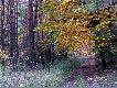 nasze tereny �owieckie w kilku fotkach
