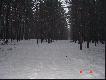 Kilka fotek z naszego �owiska
