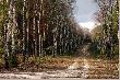 Rezerwat "�wi�te �ugi"
Rezerwat "�wi�te �ugi" ko�o Lubca, nadle�nictwo (chyba) Podlesie.