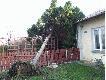 gniazdo wiewi�rcze
Podczas szalej�cej wichury w nocy z 18 na 19.01.2007r utraci�em pi�knego �wierka rosn�cego przed domem. Podczas us�wania drzewa odkry�em w g�rnej cz�ci korony gniazdo wiewi�rcze,uzna�em je jako do�� nietypowe i pozwoli�em sobie na umieszczenie zdj�� w galerii. Z reg�y zwierz� to gnie�dzi si� w dziuplach drzew, a tu popatrzcie sami.