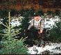 Tego dzika strzeliem na polowaniu zbiorowym w dniu 7.01.2001 r. w owisku Wojciechy