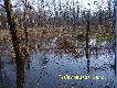 Wody coraz wi�cej po ostatnich opadach �niegu.  Uprawy pod wod�.