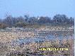 ��ki przy klasztorze Cysters�w bardzo dawno nie zalewane przez rzek� We�n�. 