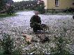 Lis i jenot strzelone w cigu jednej godziny na wab, 02.11.2006r. Lis wyceniony na 24,06 pkt CIC (brzowy medal). Tego samego wieczora przywabiem lisa duo wikszego ale niestety strza nie by mozliwy ze wzgldu na przejedajc akurat drog masszyn. Ronie do nastepnego sezonu:)