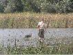Polowanie na kaczki 2005r