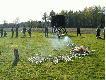 Posokowce i Tropowce Landek 2007
