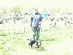 Wystawa Ps�w Dobre Miasto 2007
