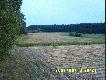 A oto miejsce w kt�rym wczoraj strzeli�em szydlarza. 