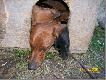 �piochy :) troch� ciasno ale za to ciep�o :)