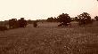 PARE WIDOK�W
