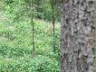 Spotkane w �owisku
