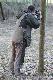kol. Sylwek Kotowski
Tym, kt�rzy mieli okazje go pozna� czy cho�by zobaczy� milej b�dzie go wspomnie� w rocznic� jego �mierci. Tym, kt�rzy go nie znali przeka�e tylko, �e by� naprawd� �wietnym cz�owiekiem, prawym i etycznym my�liwym, oddanym koleg�, kt�ry jak zwykle w takiej chwili - za szybko od nas odszed�...
