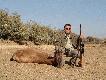 Hartebeest Jacka - gratuluj�
