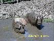 Spos�b na upa�y.
Spos�b na upa�y...