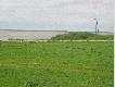 G�i
W dniu 27.06.br w godzinach rannych podesz�am na bezpieczn� odleg�o�� i wykona�am par� fotek dzikich g�si nad Zalewem Wi�lanym w Nowej Pas��ce. Mam przyjemny widok z okna w pracy.