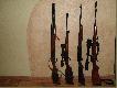 moje zawsze wierne ;BRONKI'
od lewej w szeregu stoj�: I�27E cal. 12/70 , I�18MN cal. 223 Rem. , Browning automat kulowy cal. 30-06 , CZ550 Lux cal. 7*64