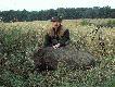 Gruby wycinek (90 kg) strzelony wczesnym wieczorem o godz. 20.20 w czwartek 26.07.07 r. Ciekawostk jest fakt, e przyszed na wab zamiast ... koza :-)
DB