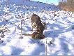 Najlepszy towarzysz �ow�w
M�j pies FUKS Ma�y Munsterlander sko�czy� 5 lat i nie wyobra�am sobie polowania z innym psem .